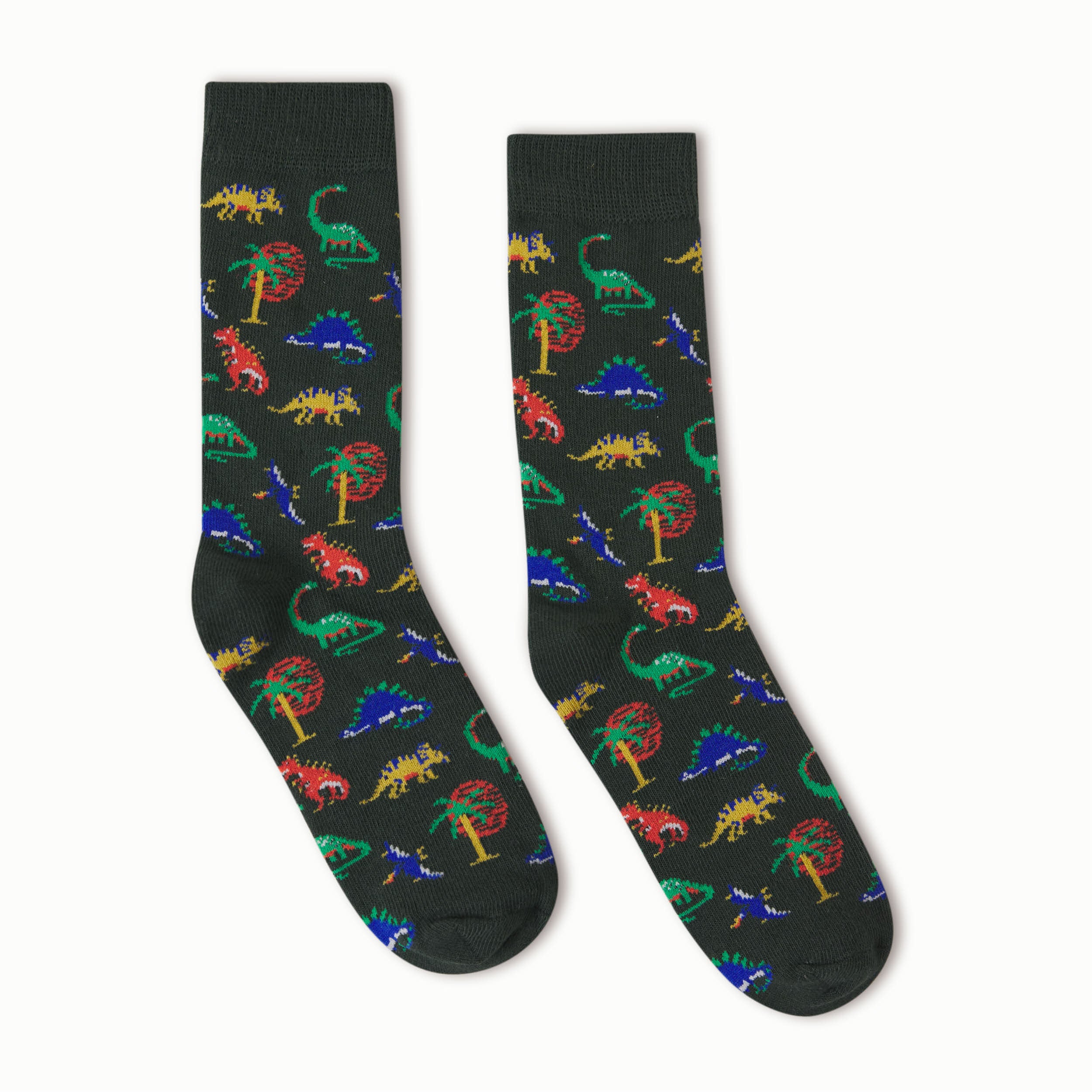 Dinosaur Kids Socks