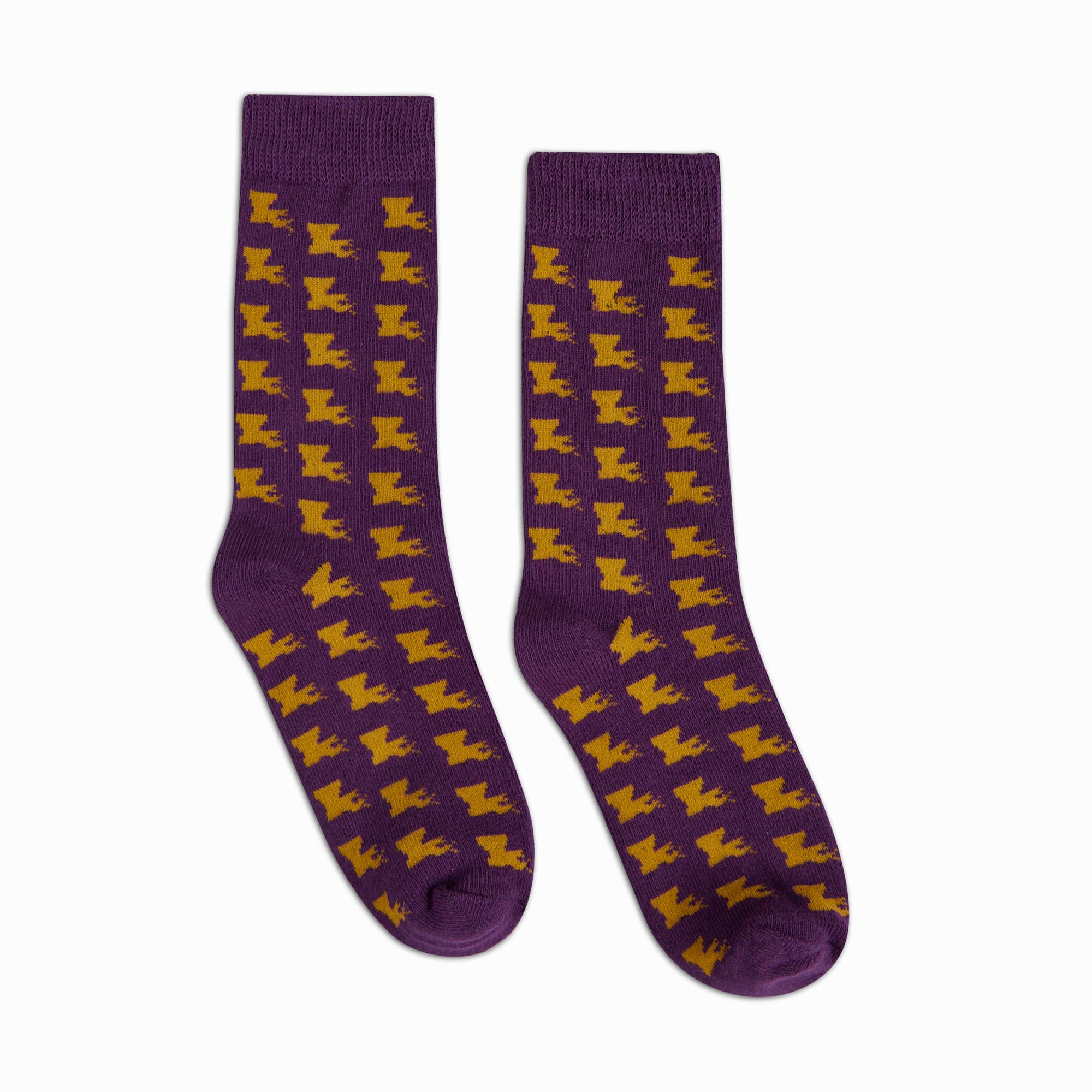 Louisiana Kids Socks