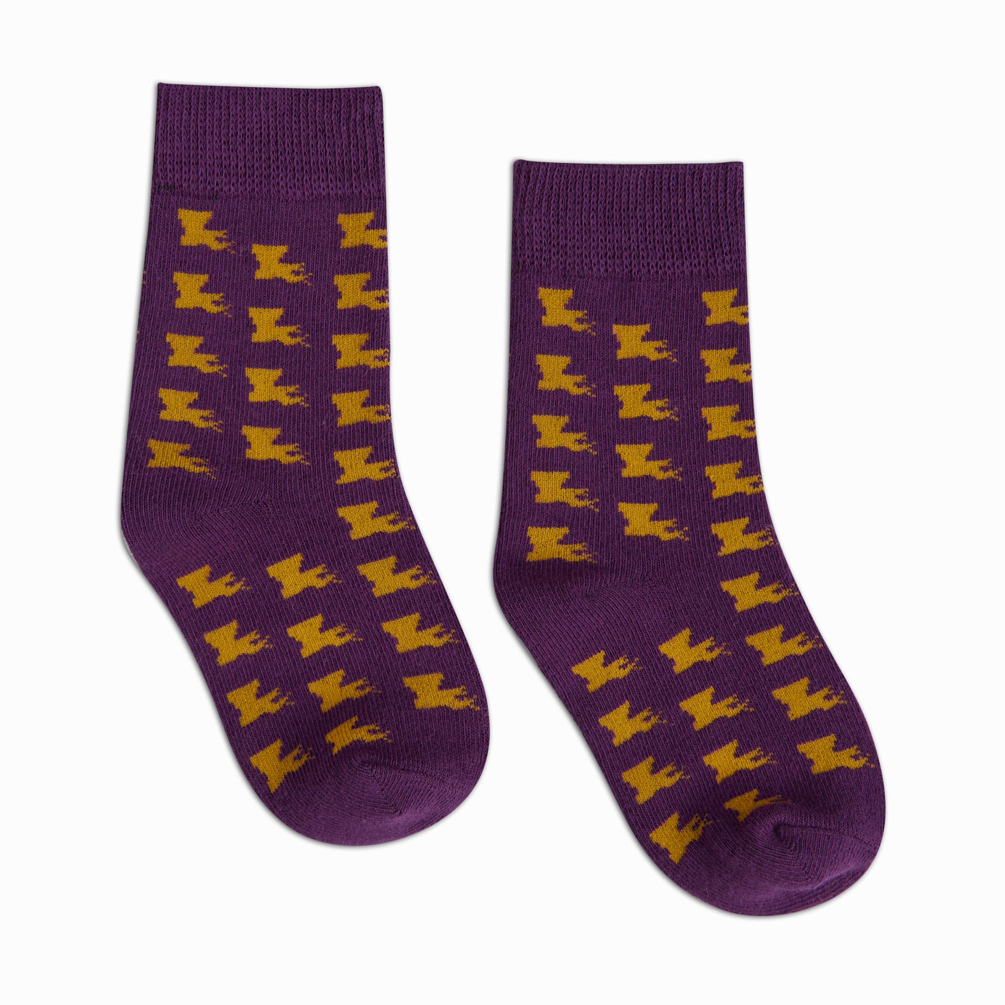 Louisiana Kids Socks