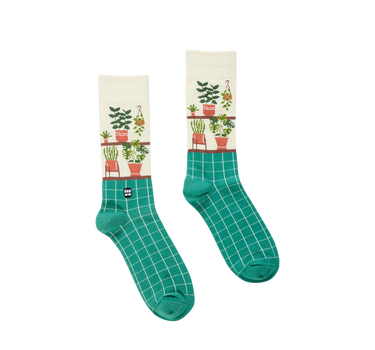Potted Plants