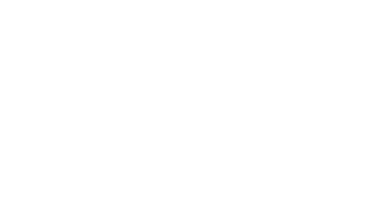Bonfolk