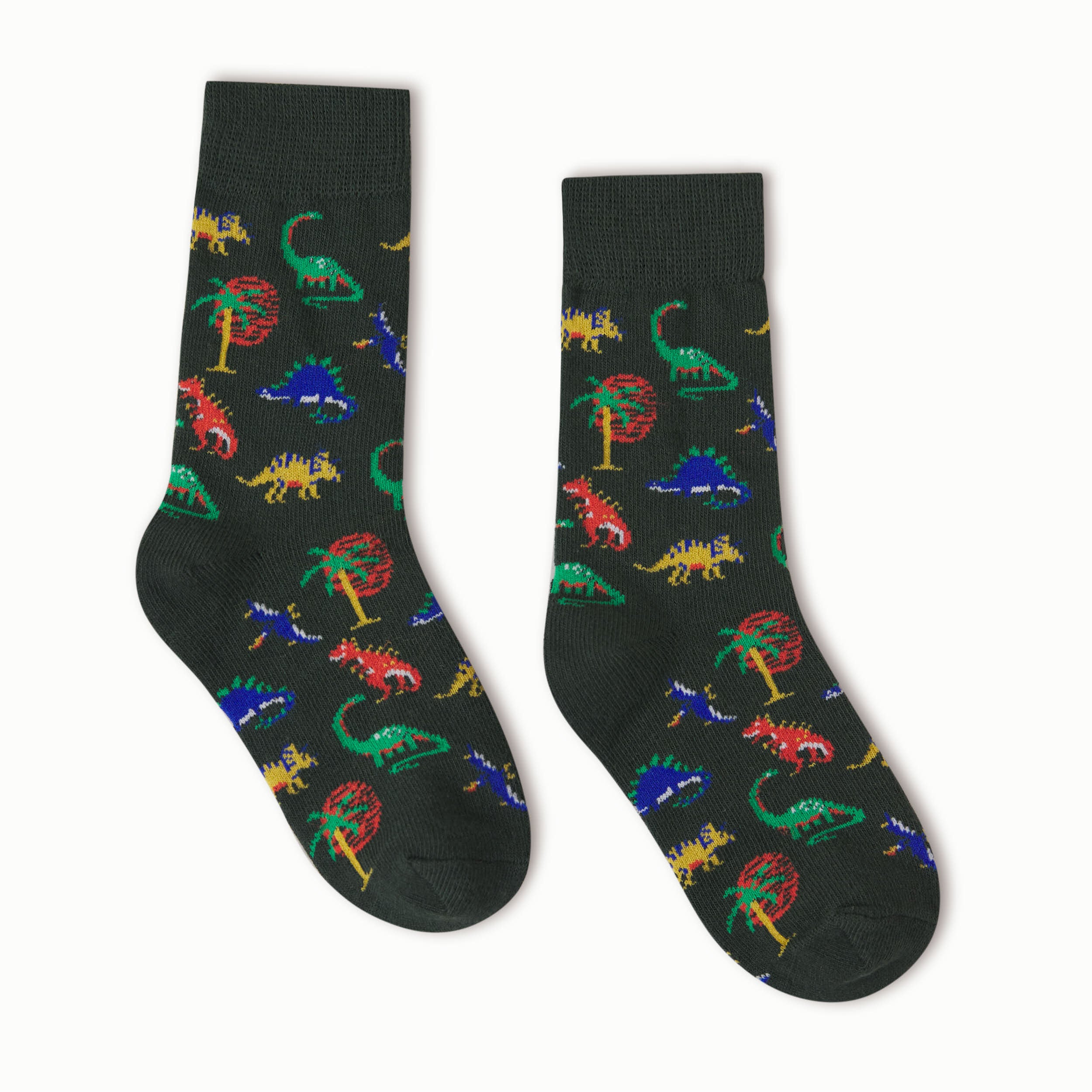 Dinosaur Kids Socks
