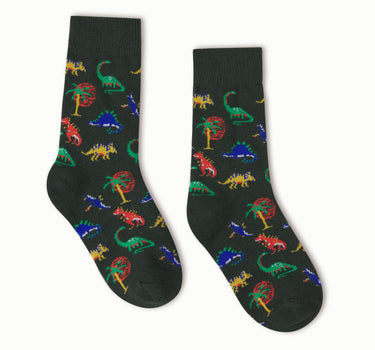 Dinosaur Kids Socks