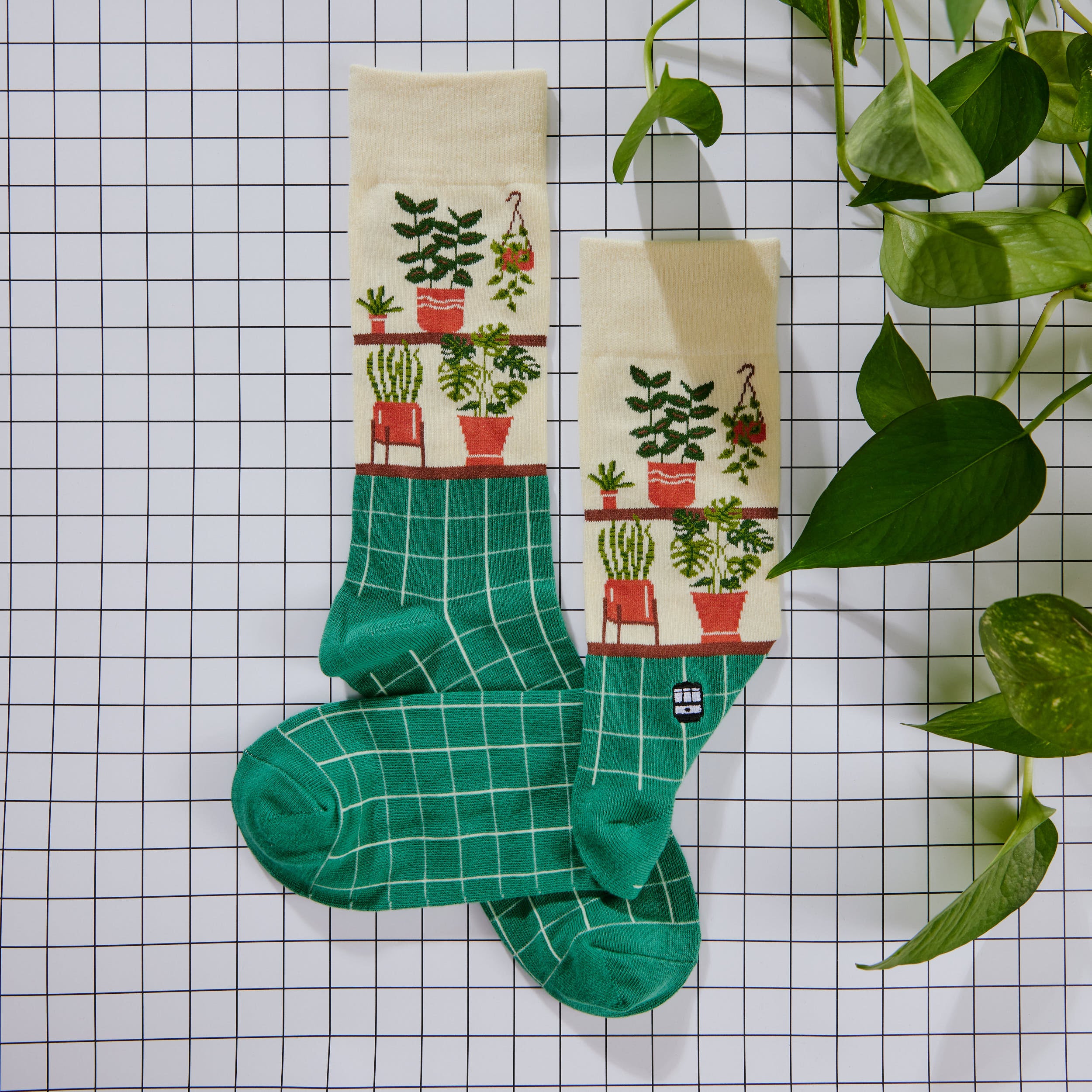 Potted Plants Socks