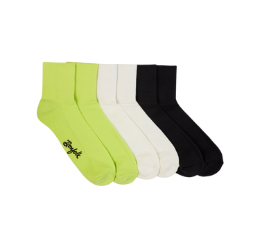 3 Pack Daily Quarter // Pre Order