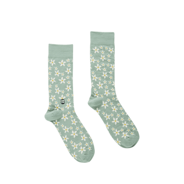 Star Jasmine - Bonfolk