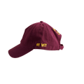 Stein's Deli Grumpy Pickle Hat - Bonfolk