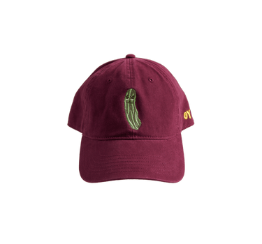 Stein's Deli Grumpy Pickle Hat - Bonfolk