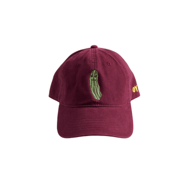 Stein's Deli Grumpy Pickle Hat - Bonfolk