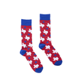 Texas Socks - Bonfolk