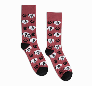 Bonfolk Dogs Socks