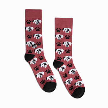 Bonfolk Dogs Socks