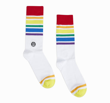 Bonfolk Rainbow Socks