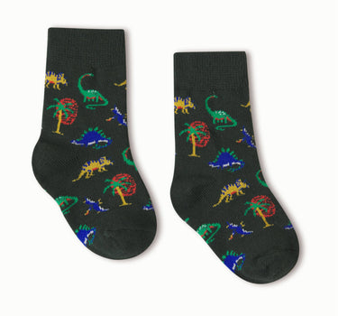 Baby Dinosaur Socks