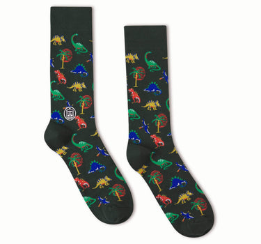 Bonfolk Dinosaur Socks