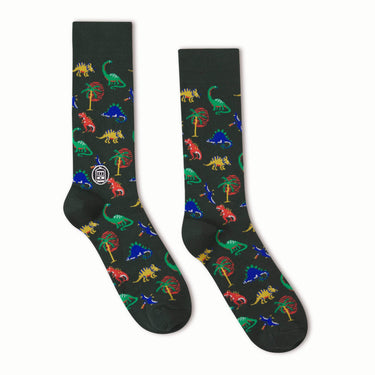 Bonfolk Dinosaur Socks